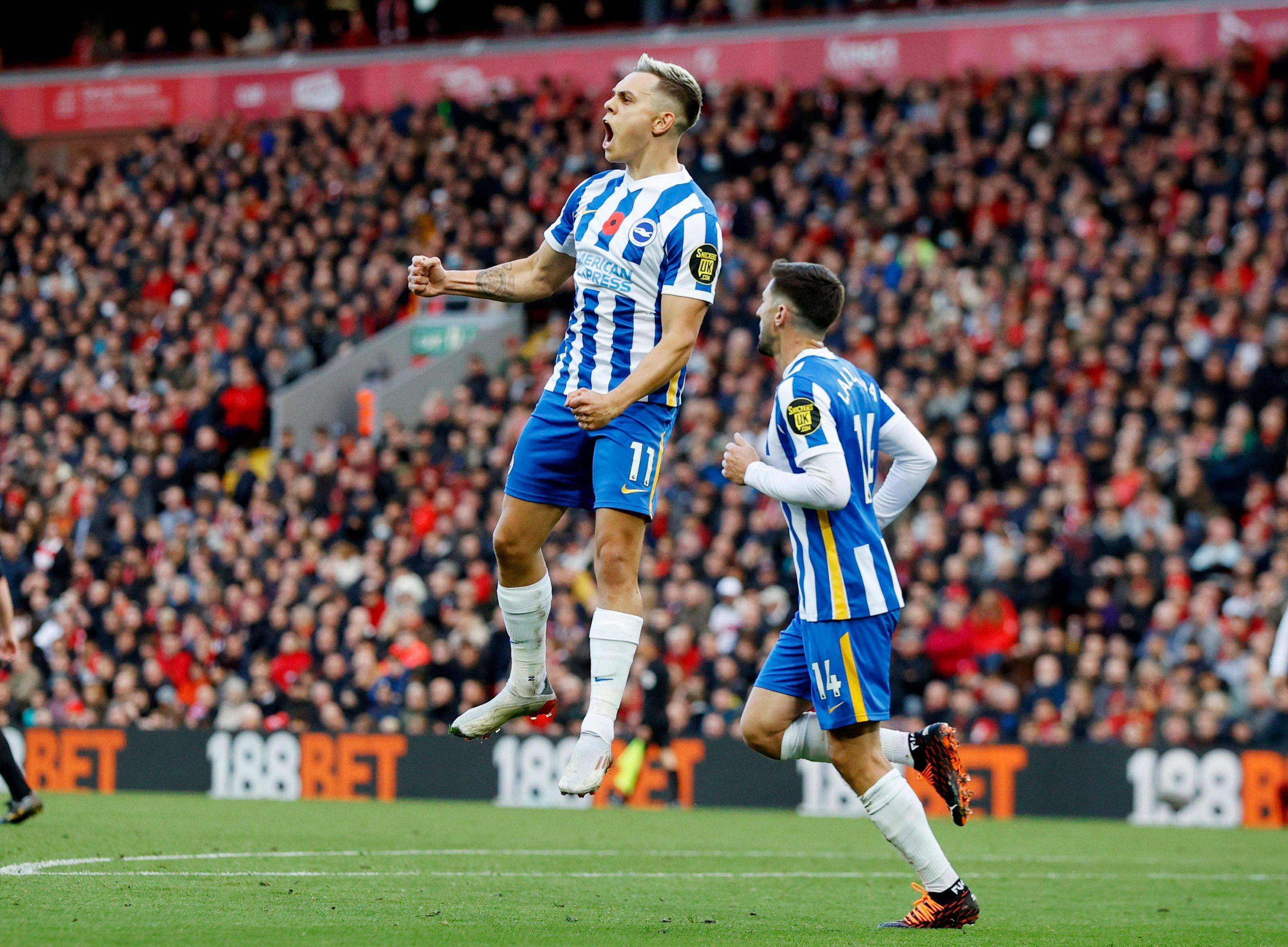 记者指出 记者指出