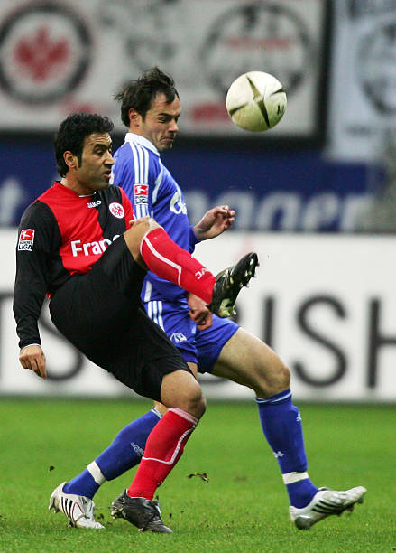 充分展示了 充分展示了